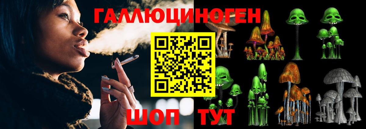 Сосновый Бор  Псилоцибиновые грибы ЛСД  Вход с VPN 
