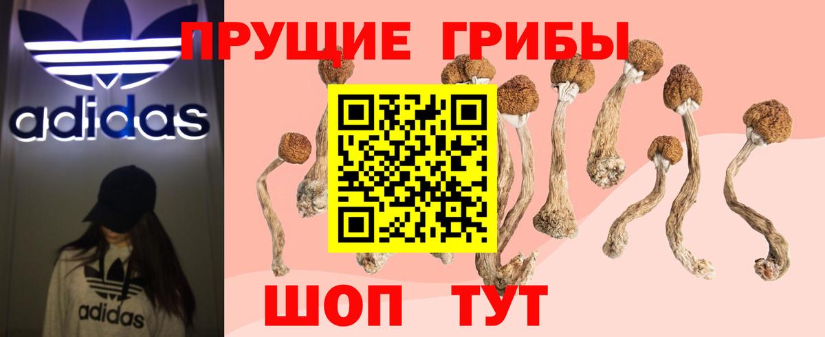 Галлюциногенные грибы Magic Shrooms Сосновый Бор