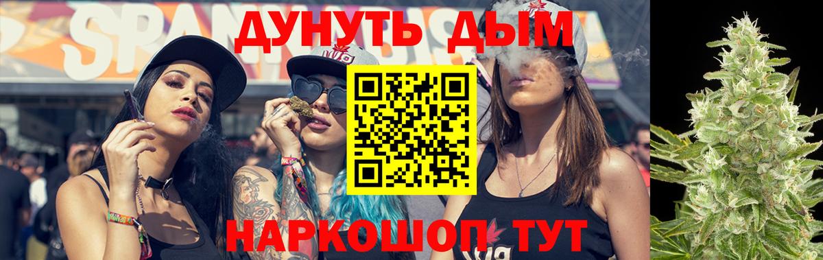 Сосновый Бор  Канабис AK-47  Каннабис план  Вход с VPN  МАРИХУАНА конопля  Шишки марихуана сатива 